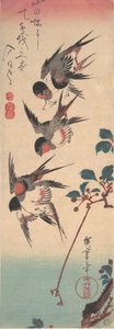 Swallows and Wild Cherry by Ando Hiroshige