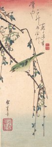 Warbler on a Plum Branch, ca. 1835