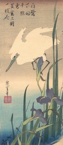 White Heron and Iris