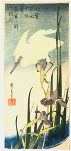 White Heron and Irises by Ando Hiroshige