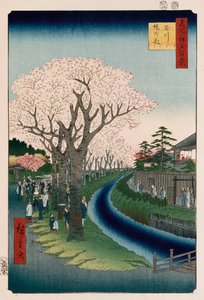 Cherry Blossoms, Tama River Embankment by Ando or Utagawa Hiroshige