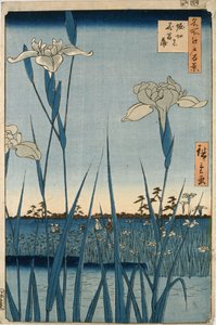 Horikiri Iris Garden