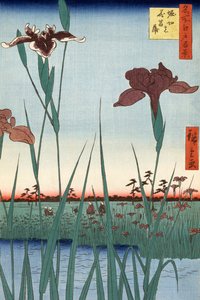 Horikiri Iris Garden by Utagawa Hiroshige by Ando or Utagawa Hiroshige