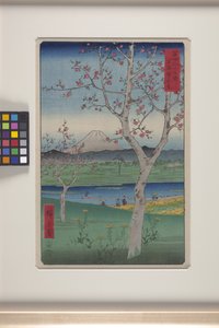 Koshigaya in Musashi Province