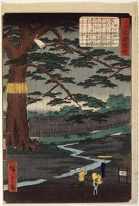 Miyuki Pine by Ando or Utagawa Hiroshige