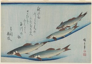 School of Five Sea Trout by Ando or Utagawa Hiroshige