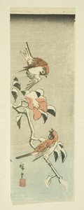 Sparrows and Camellia in Snow by Ando or Utagawa Hiroshige