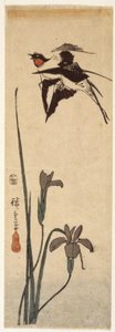 Swallows And Iris