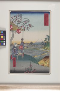 Teahouse With View Of Mt. Fuji In Zoshigaya (Zoshigaya Fujimi Chaya) by Ando or Utagawa Hiroshige