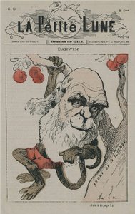 Darwin as Monkey on La Petite Lune by Andre Gill