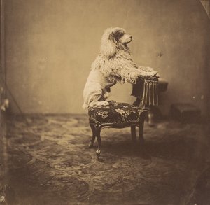 Empress Eugénie