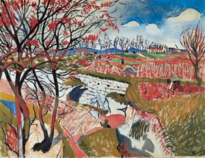 Vineyard in Spring