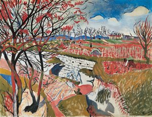 Vineyards in Spring