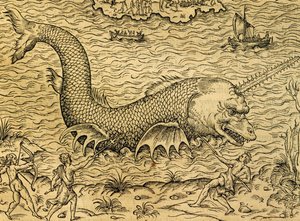 Sea monster, engraving from Universal Cosmology by Andre Thevet