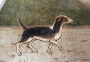 Atri, Cathedral, Dog / Fresco by A. Delitio