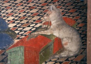 Cathedral of Atri, Cat