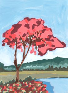 Acacia, 2024 by Andrea Mejia