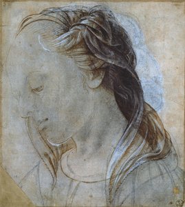 Female Head