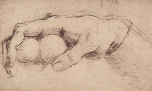 A hand by Andrea del Sarto