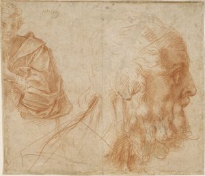 A Youth and the Head of an Old Man Homer by Andrea del Sarto