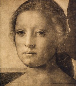 Head of a Young Woman, Drawing by Andrea del Sarto by Andrea del Sarto