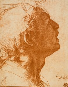 Male Head by Andrea del Sarto
