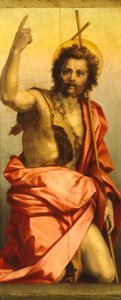 Painting of St John the Baptist by Andrea del Sarto