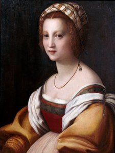 Portrait of a Woman by Andrea del Sarto
