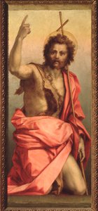 Saint John the Baptist, Altarpiece of St. Agnes by Andrea del Sarto