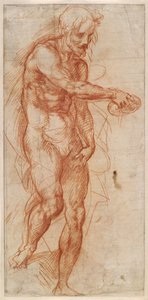 Saint John the Baptist Study by Andrea del Sarto