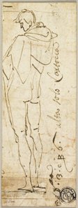 Standing Male Nude