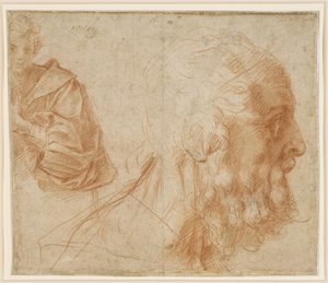 Study Sheet with a Young Man and the Head of an Old Man to the Right (Homer?) by Andrea del Sarto