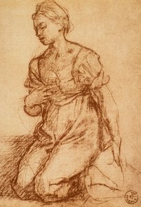 Study of a Woman; Drawing by Andrea del Sarto. Gabinetto dei Disegni e delle Stampe, Uffizi Gallery, Florence by Andrea del Sarto