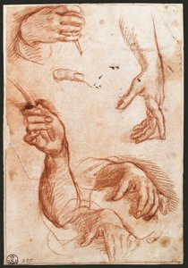 Study of hands by Andrea del Sarto