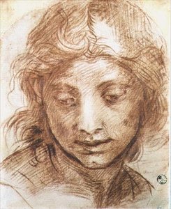 Study of the Head of a Young Woman by Andrea del Sarto