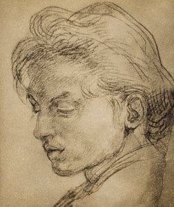 Virile Head in Profile
