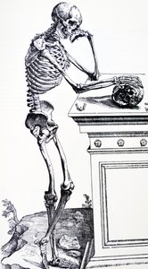 Human Skeleton with Skull in Hand. From 