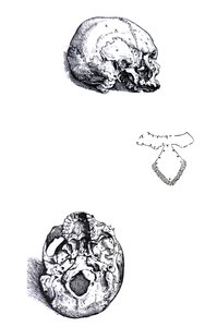 The Plates from the First Book of the De Humani Corporis Fabrica