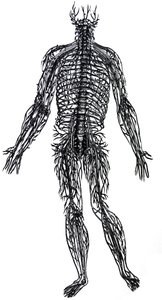 The Plates from the Fourth Book of the De Humani Corporis Fabrica by Andreas Vesalius