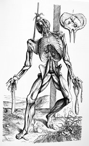 The Plates from the Second Book of the De Humani Corporis Fabrica