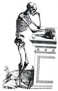 The Plates from the Seventh Book of the De Humani Corporis Fabrica