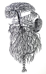 The Plates from the Third Book of the De Humani Corporis Fabrica by Andreas Vesalius
