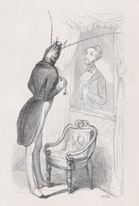 A very well put insect and beautiful dancer from Scenes from the Private and Public by Andrew Best Leloir