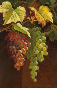 Two Bunches of Grapes by Andrew John Henry Way