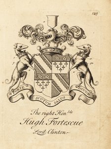 Coat of Arms of Hugh Fortescue by Andrew Johnston