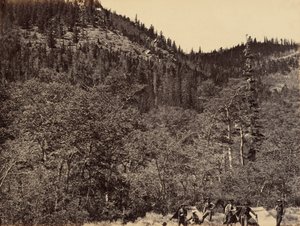 Plate 19. Among the Timber at Head of Little Laramie River, 1869 by Andrew Joseph Russell