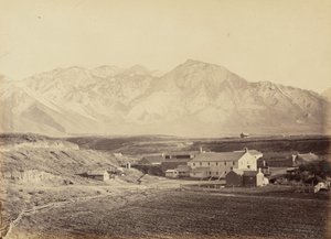 Plate 49. Brigham Young