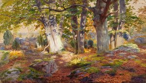 Autumn Sunlight after Rain, Fontainebleau
