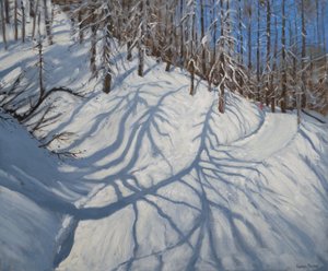 Fir Tree Shadows, Tignes