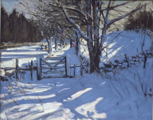 Gate Near Youlgreave, Derbyshire